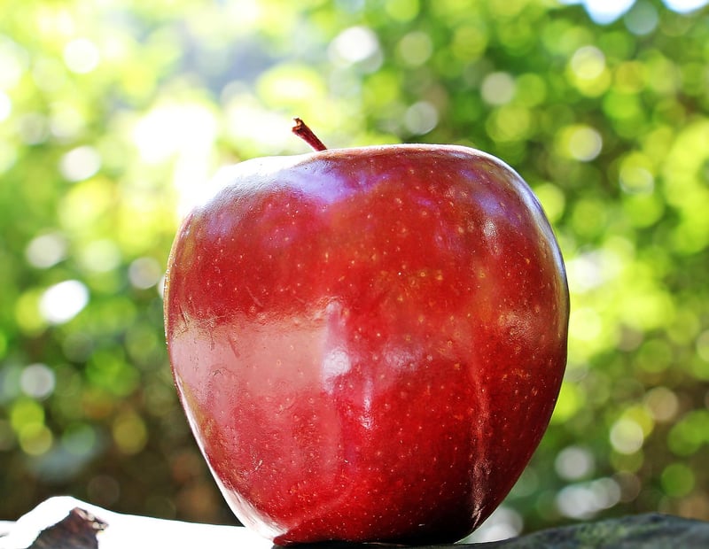 Healthy foods