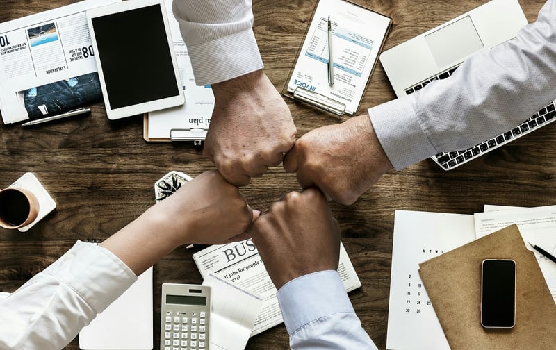 Investment Insights